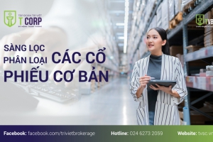 SÀNG LỌC PHÂN LOẠI CÁC LOẠI CỔ PHIẾU CƠ BẢN